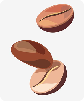 Векторная иллюстрация кофейные зерна